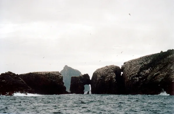 Eilean a' Ghobha and Roareim