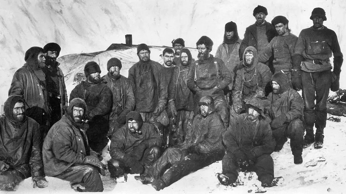 Elephant island party (cropped)