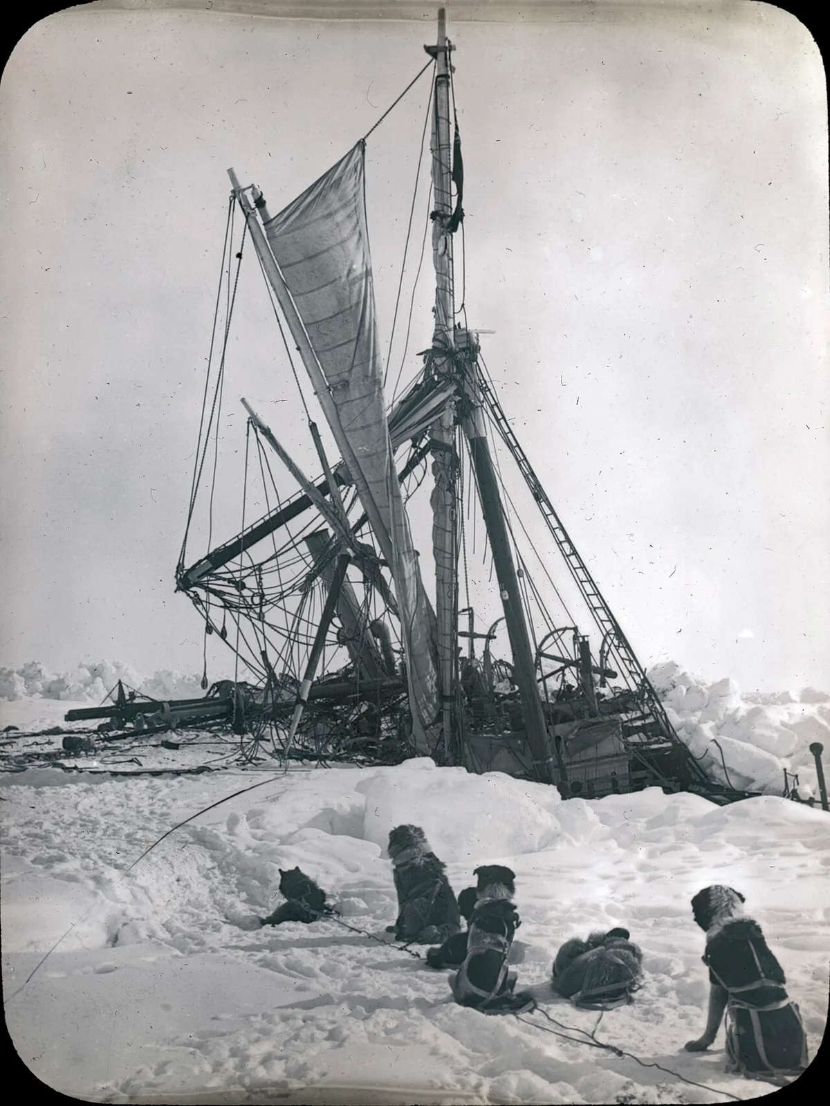 Endurance Final Sinking