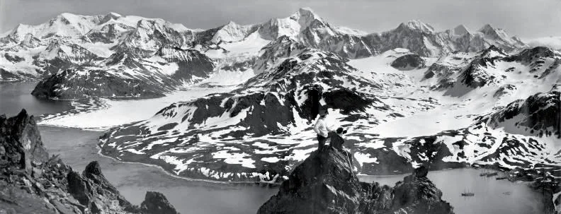 Panorama Of South Georgia