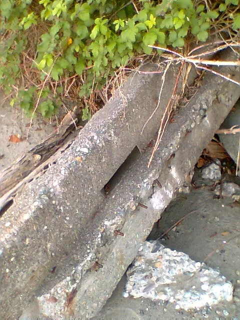 Gertie Remains 1
